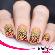 Whats Up Nails 美甲印花板 B021 Autumn Tales