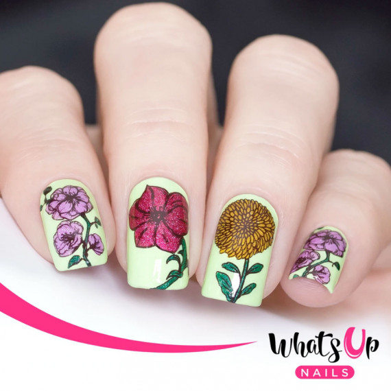 Whats Up Nails 美甲印花板 B046 Petal to the Metal