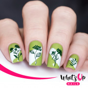 Whats Up Nails 美甲印花板 A020 Floralize Your Texture