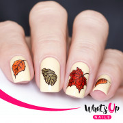 Whats Up Nails 美甲印花板 A021 Leaf Pile