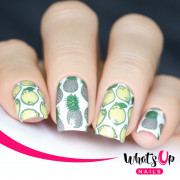 Whats Up Nails 美甲印花板 B008 Summer Seeds