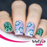 Whats Up Nails 美甲印花板 B018 Fields of Flowers